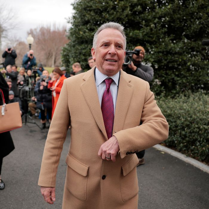 Guerre en Ukraine : Après l’ultimatum de Trump, Witkoff attendu en Russie