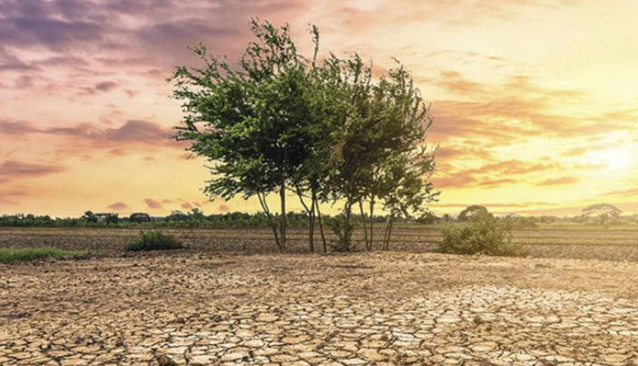 Alerte FAO : Sécheresse et dépendance aux importations, la double peine du Maroc