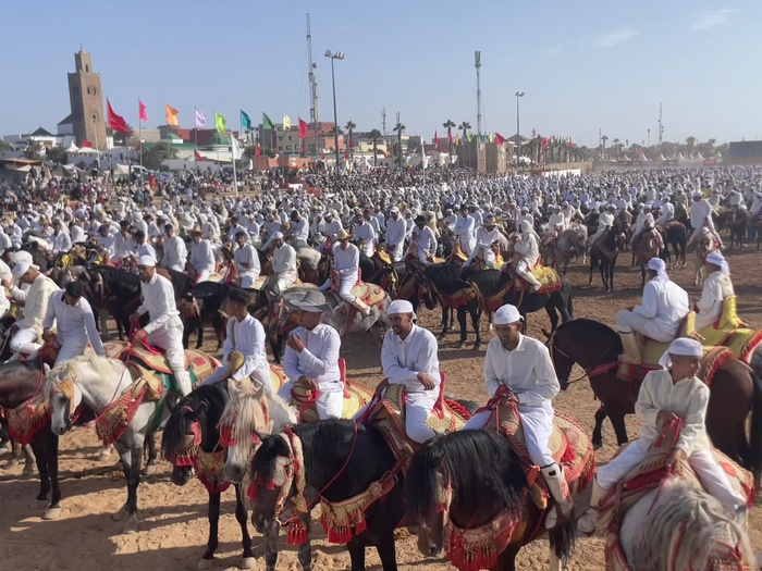 Moussem Moulay Abdallah: 122 troupes de Tbourida – dont trois exclusivement féminines – et 2 065 chevaux