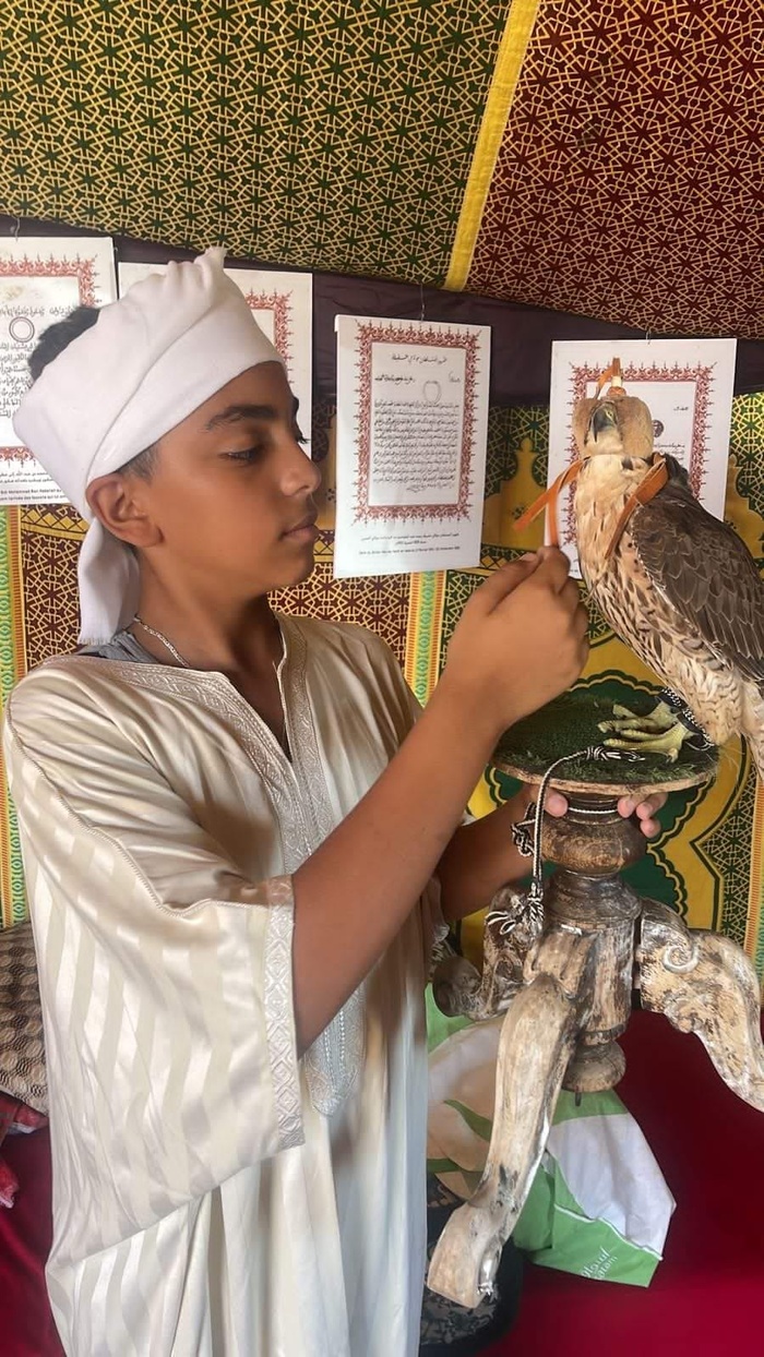 Fauconnerie / Reportage : La fauconnerie Lekouassem écrit l'histoire