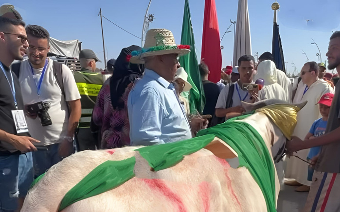 Moussem Moulay Abdallah Amghar : Offrande solennelle aux Chorfas Amghariyines