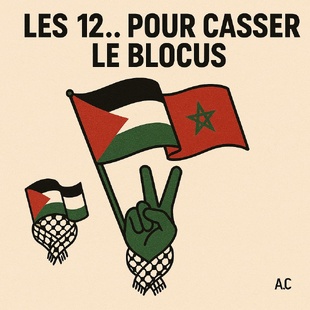 Quatre femmes et dix hommes du Maroc pour briser le blocus de Gaza