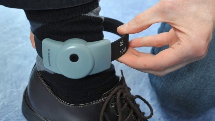 Peines alternatives : Plus de 50 décisions déjà prononcées