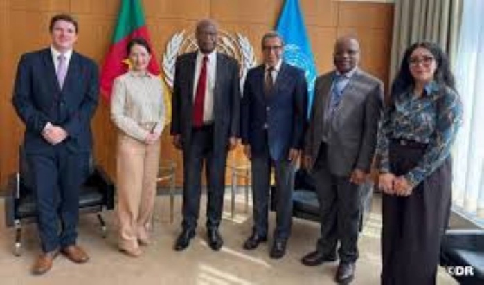 ONU: le Maroc conclut avec succès la négociation de la déclaration politique du deuxième Sommet social prévu à Doha