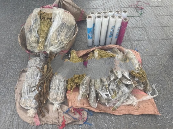 Double coup de filet spectaculaire à El Jadida : Mahia clandestine et cargaison de drogues interceptées en une seule journée