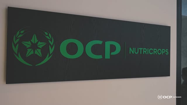 Engrais phosphatés : OCP Nutricrops se lancent dans la transformation du CO₂ capturé en solutions durables