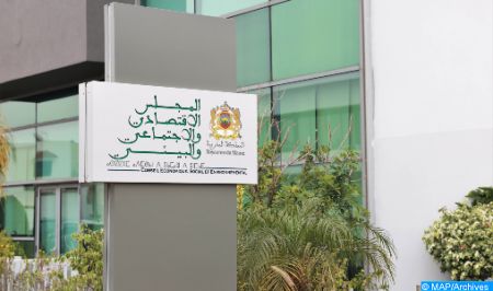 Neutralité carbone 2050 : Le CESE appelle à une mobilisation nationale et régionale