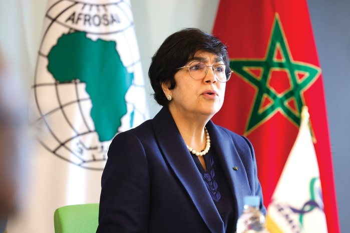 El Adaoui plaide pour une transformation globale des institutions de contrôle des finance