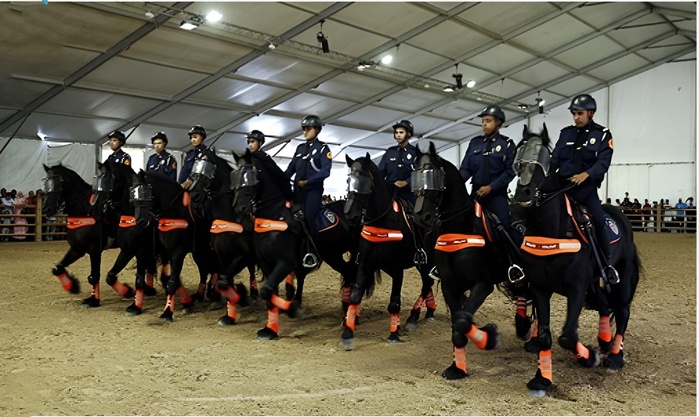 Salon du cheval d'El Jadida : Prestation magistrale de la Police Montée !