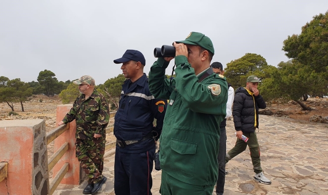 Sidi Bouknadel : les autorités mettent la main sur un réseau de trafic d’espèces protégées