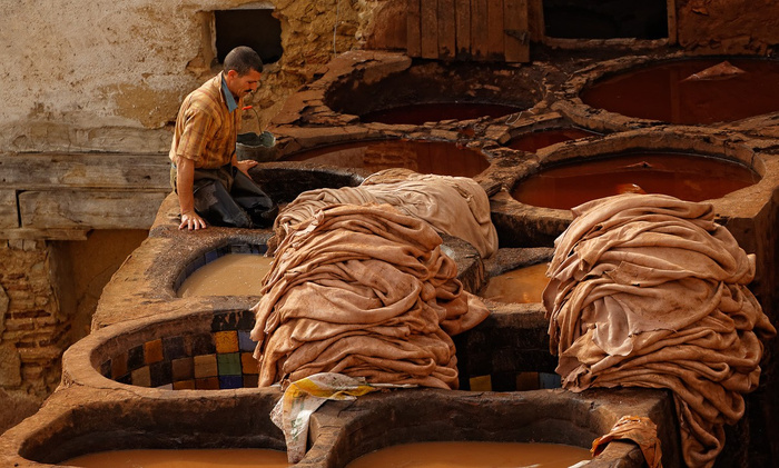 Santé au travail : Les tanneurs sous la menace de graves risques chimiques