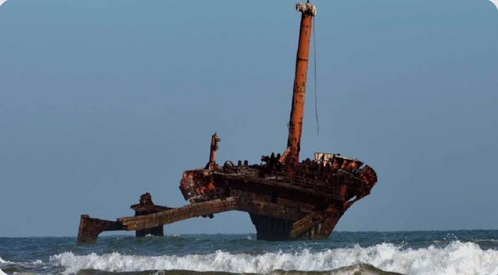 Chronique judiciaire d'El Jadida – Colombo contre le boucher : traque au bord de l'Atlantique