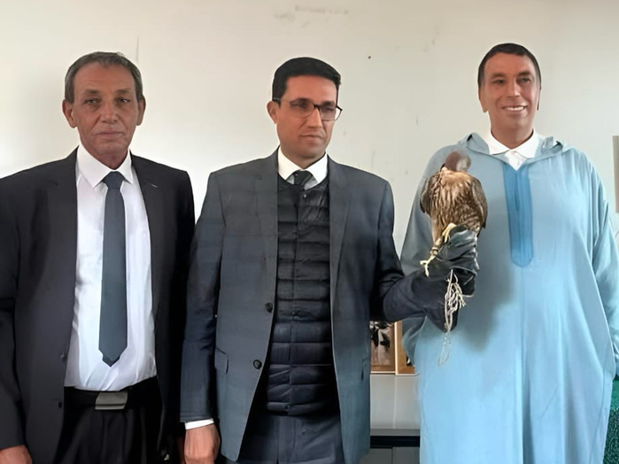 Culture: Le nouveau gouverneur rend hommage à la fauconnerie des Doukkala