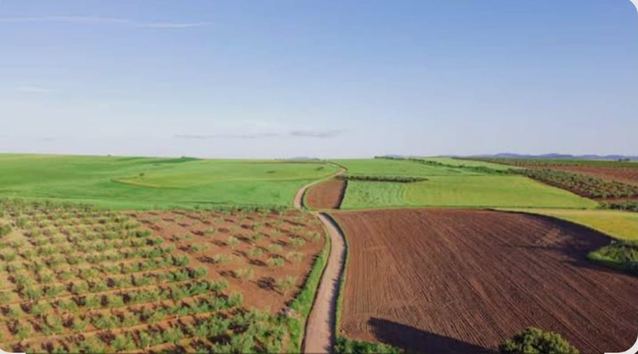 Agriculture – Casablanca-Settat : Les pluies redonnent confiance aux agriculteurs pour la campagne 2025-2026