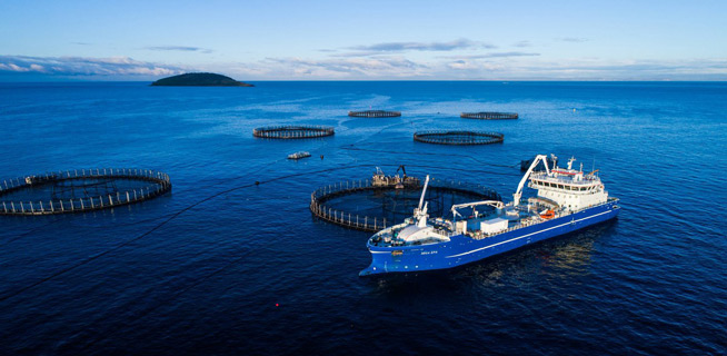 L’économie bleue : un gisement potentiel pour une relance économique post Covid