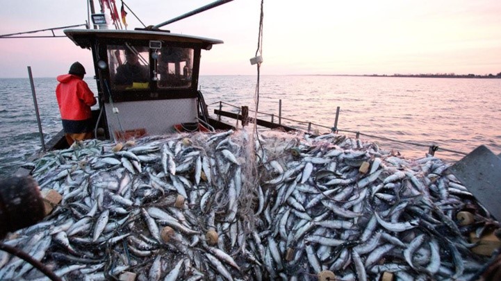 Produits de la mer : Hausse des exportations en septembre 