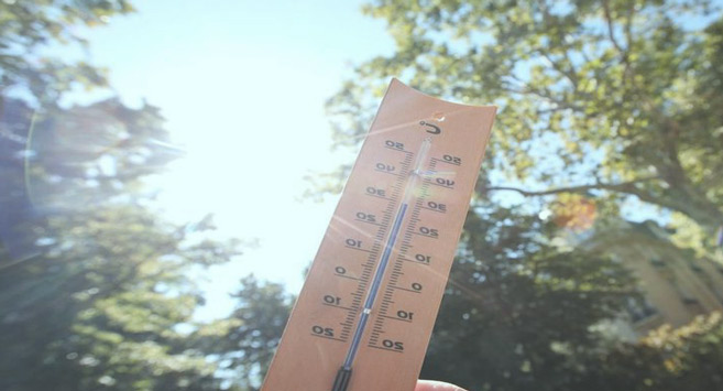 Changements climatiques : Le printemps s’installe plus tôt que prévu