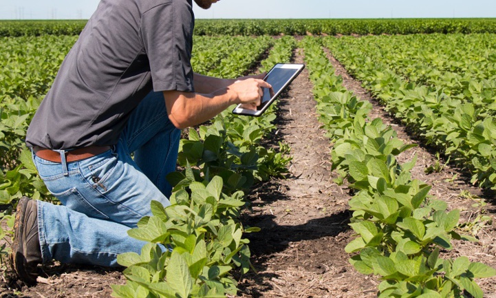 L'OCP et le CAM s'allient pour un meilleur accès des agriculteurs aux solutions mobiles de financement