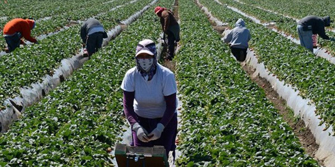 Travailleuses saisonnières bloquées à Huelva : Début du rapatriement dès le 19 mai