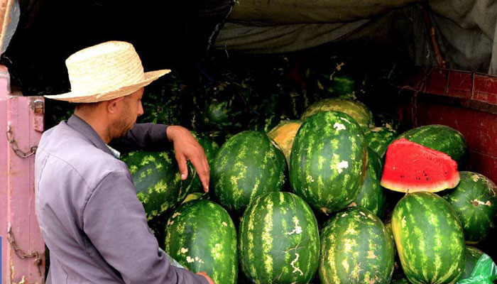 Consommation: Pourquoi la pastèque marocaine ne tourne plus rond ?