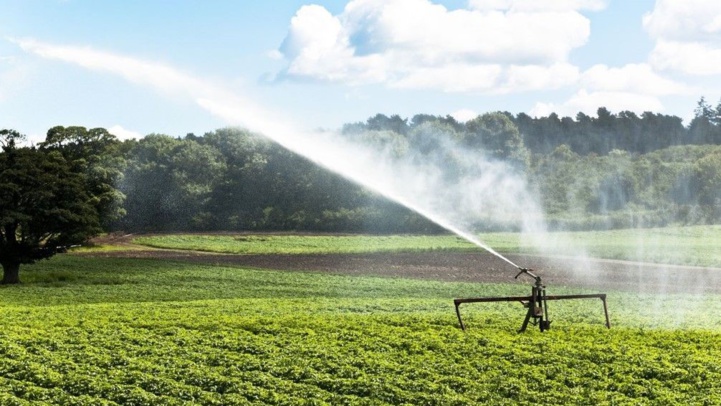 Casablanca : Six projets d’arrosage des espaces verts par des eaux usées