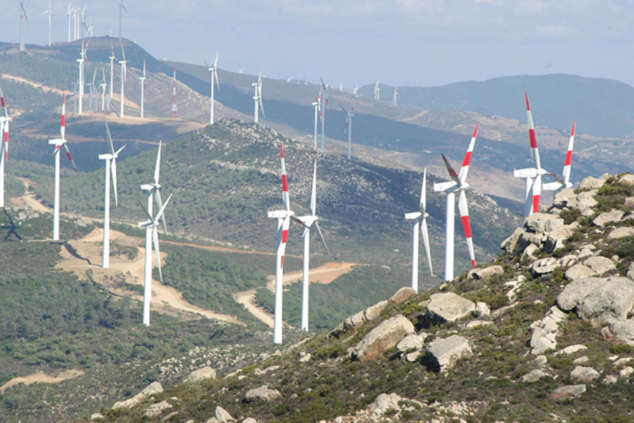 Énergies renouvelables : Le Maroc « pionnier » dans la région MENA