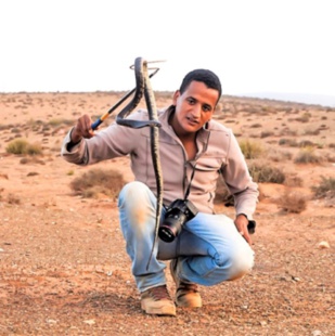 Docteur en herpétologie et enseignant-chercheur à l’Université Ibn Zohr, Dr Abdellah Bouazza répond à nos questions.