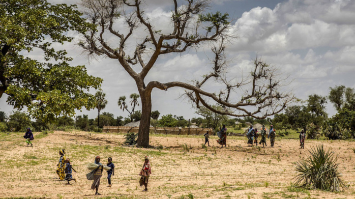 Financement climatique et croissance verte en Afrique : Renforcer la résilience des Etats face aux chocs