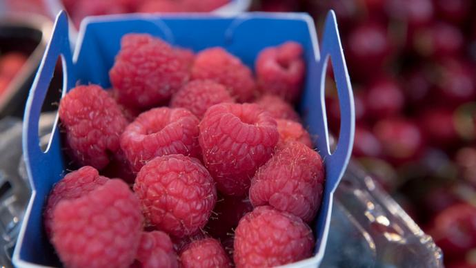 Le Maroc, deuxième fournisseur de framboises à la France