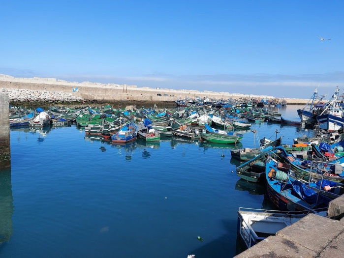 Safi : Une hausse de plus de 100% en poids des Produits de la pêche commercialisés en janvier