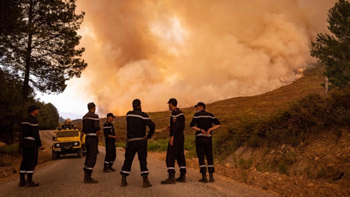 Incendies de forêts: Voici les zones à haut risque selon l’Agence des eaux et forêts