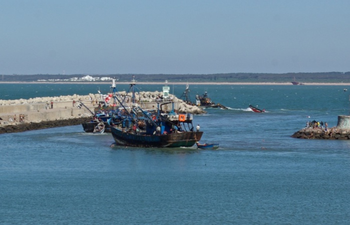 Oualidia / INDH : Distribution d’un lot de matériel de pêche composé de 37 moteurs hord bord ainsi que des combinés sondeurs GPS, et un véhicule frigorofique de transport du poisson