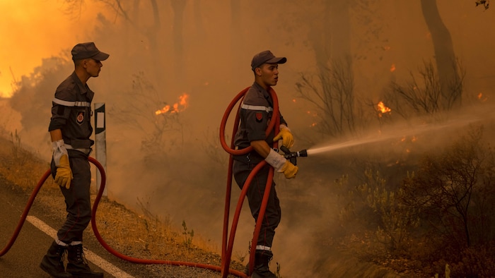 Incendies de forêts: risque "moyen" à "extrême" dans plusieurs provinces