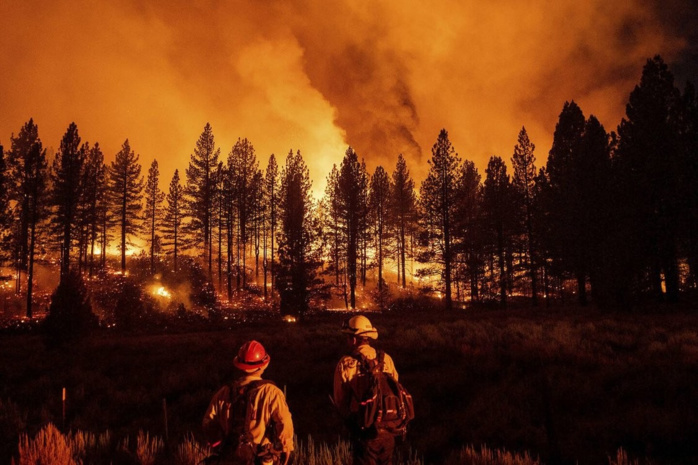 Feux de forêt : Nette réduction des incendies et des surfaces brûlées en 2024