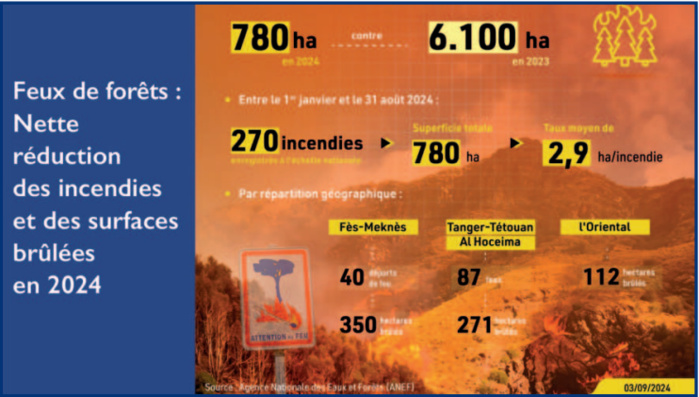 Incendies de forêts : Le secret d’une baisse inédite des zones sinistrées [INTÉGRAL]