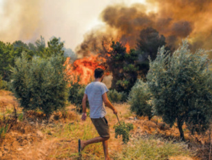 Incendies de forêts : Le secret d’une baisse inédite des zones sinistrées [INTÉGRAL]