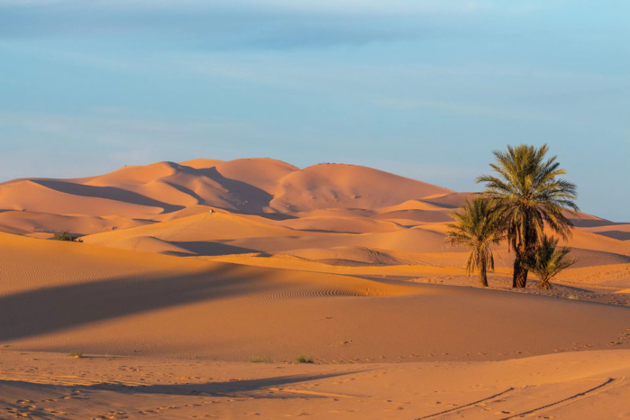 Energies vertes : Le Maroc aspire à doubler sa production électrique au Sahara 