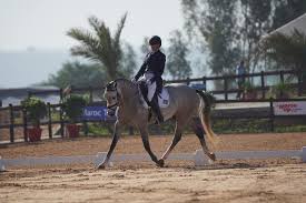 Dressage / Championnat du Maroc (chevaux de 7 ans): La cavalière Aurelia Marko sacrée