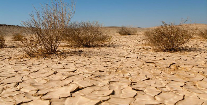 Arabie saoudite-ONU : Ouverture de la conférence sur la désertification