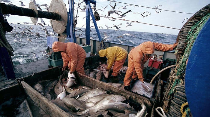 Pêche maritime : Un secteur stratégique en pleine mutation