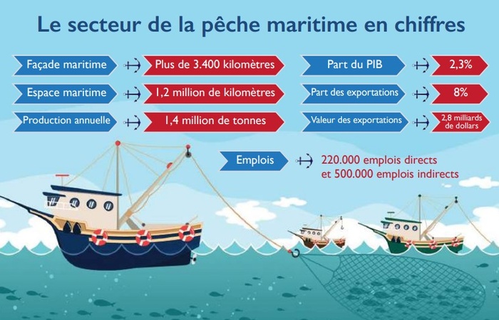 Pêche maritime : Un secteur stratégique en pleine mutation