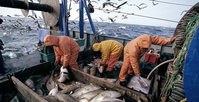 Pêche côtière et artisanale : hausse de 6% de la valeur des produits commercialisés à fin novembre