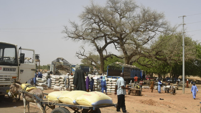 Niger: 39 villageois tués dans une double attaque près du Burkina Faso