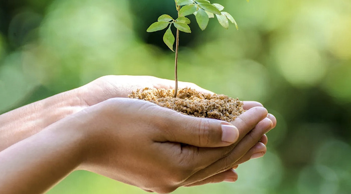 Mexico: Participation du Maroc à une conférence internationale sur la protection de l'environnement