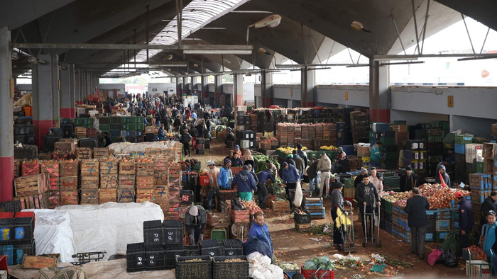 Marché de Gros de Casablanca : 1,6 million de tonnes et 177 MDH de recettes en 2024