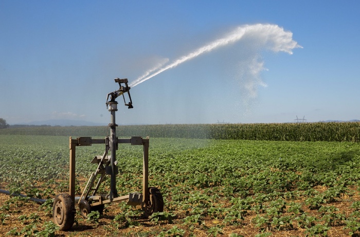 Irrigation agricole : Ultime riposte face à une année « désastreuse »