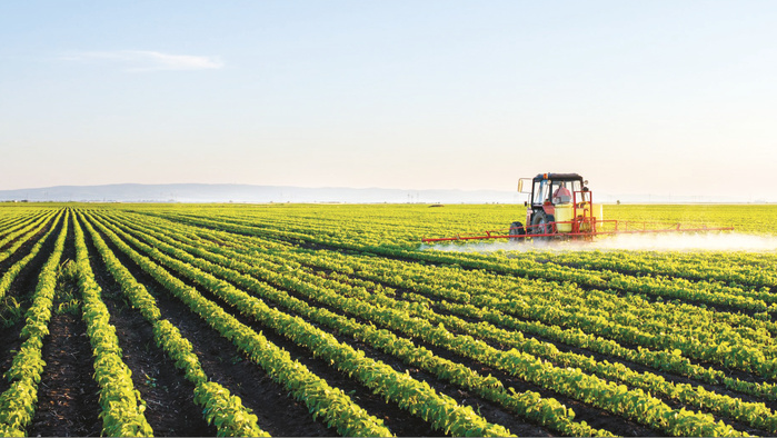 Sécurité alimentaire : Rabat vise le leadership de l’agriculture régénératrice en Afrique