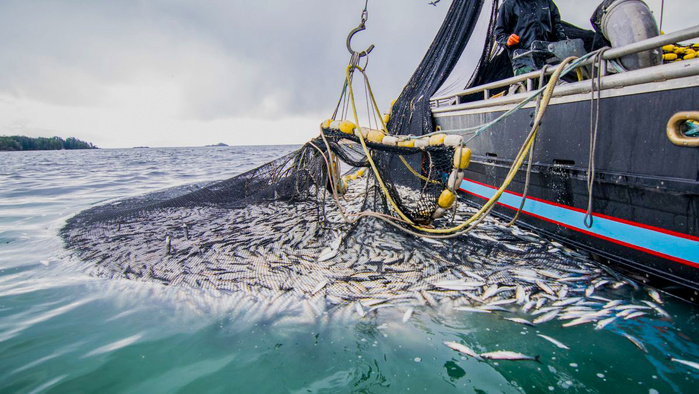 Pêche maritime : La sécheresse affecte-t-elle vraiment nos océans ?