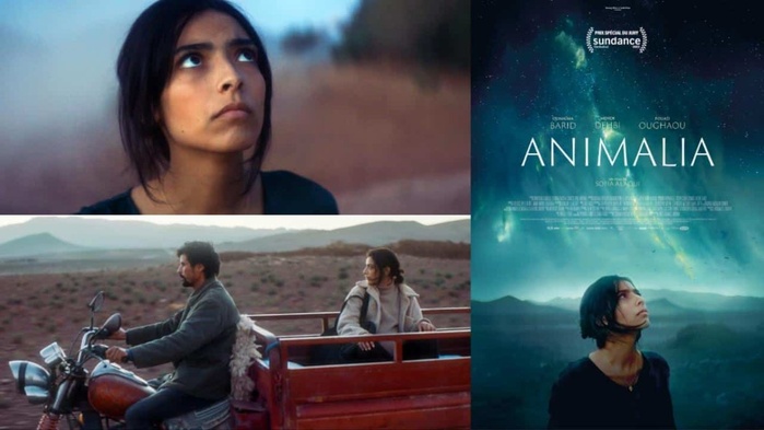 ​Cinéma : Trois films marocains au DIFF