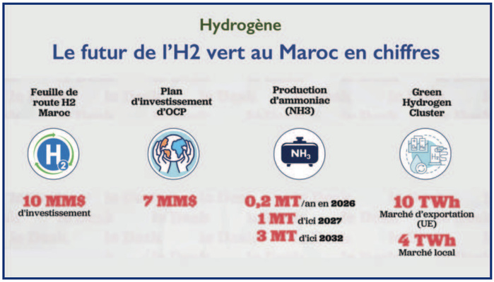 Hydrogène vert au Maroc : La délicate équation entre moyens et ambitions [INTÉGRAL]